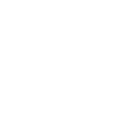RTSP Streaming